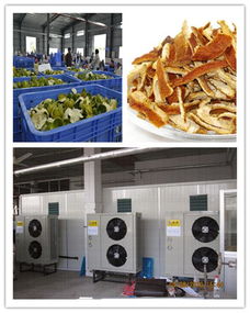陳皮烘干機(jī)價(jià)格 深圳陳皮烘干機(jī)