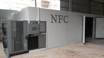 新型小型自動川貝片烘干機