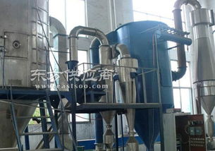 廠家專業定制高嶺土干燥設備及其價格解析