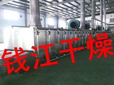 黃山貢菊烘干守護者 探秘常州市錢江干燥設備的匠心工藝