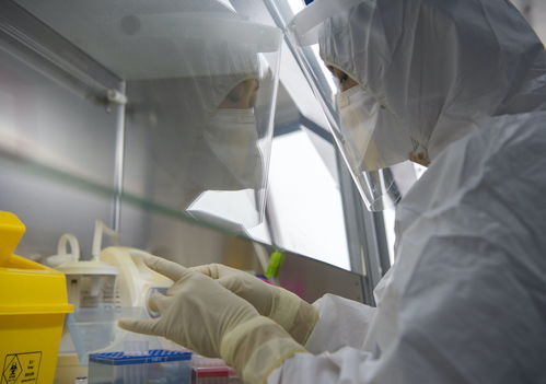 金域醫學舉全集團之力，支援北京核酸檢測日產能突破3萬例