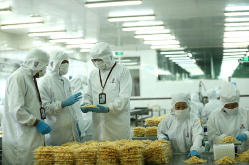 檢測(cè)服務(wù)為翼，助力山東即墨企業(yè)振翅高飛